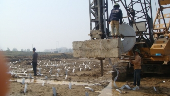 THI CÔNG CẮM BẤC THẤM – BẢO NAM: